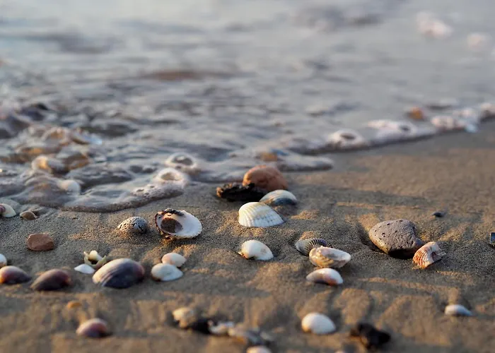 Comfy Flat With Garden And Pool Bibione